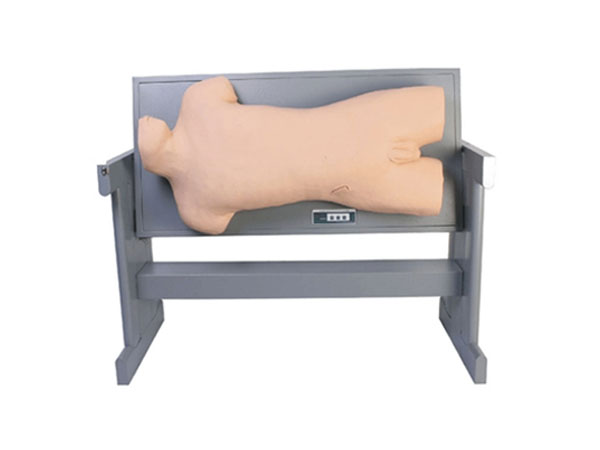 综合穿刺术与叩诊检查技能训练模型（BIX-CK810）